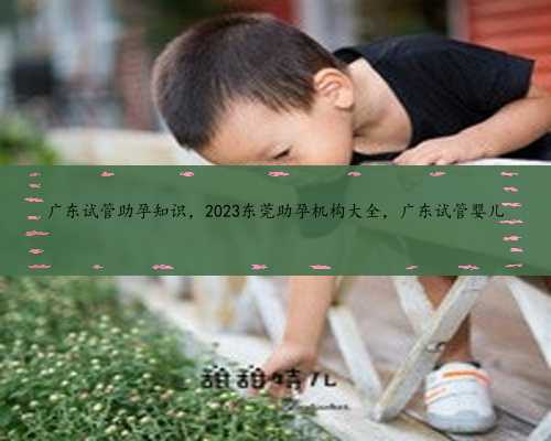广东试管助孕知识，2023东莞助孕机构大全，广东试管婴儿